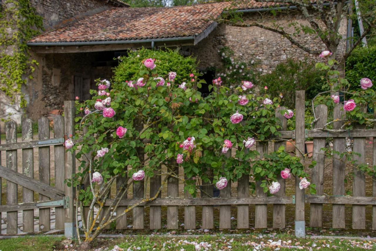 Chambres D'Hotes La Pocterie Vouneuil-sur-Vienne Экстерьер фото